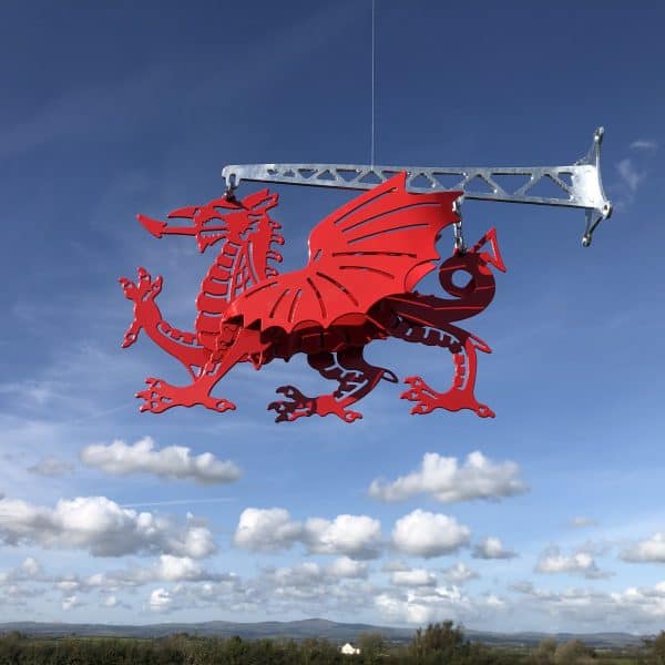 3D Hanging Dragon with Standard Bracket